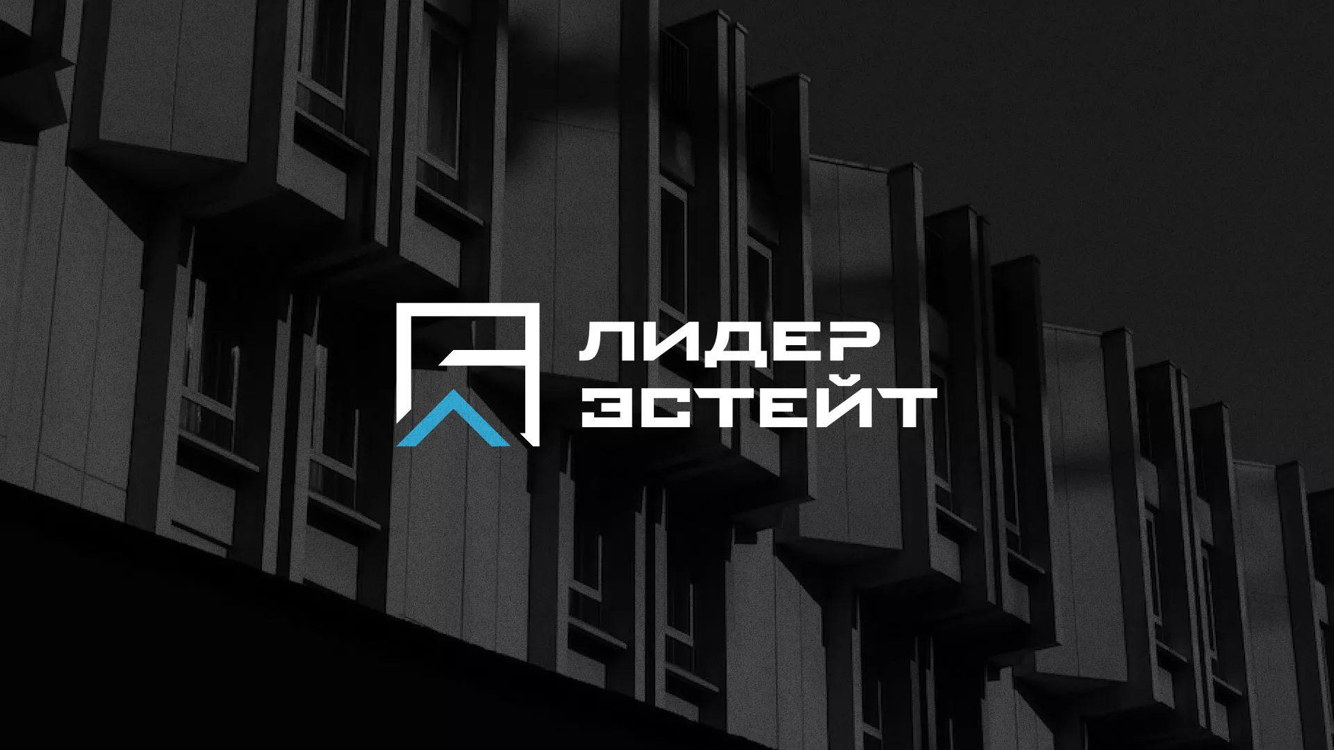 Разработка логотипа агентства недвижимости «Лидер Эстейт» в Балаково